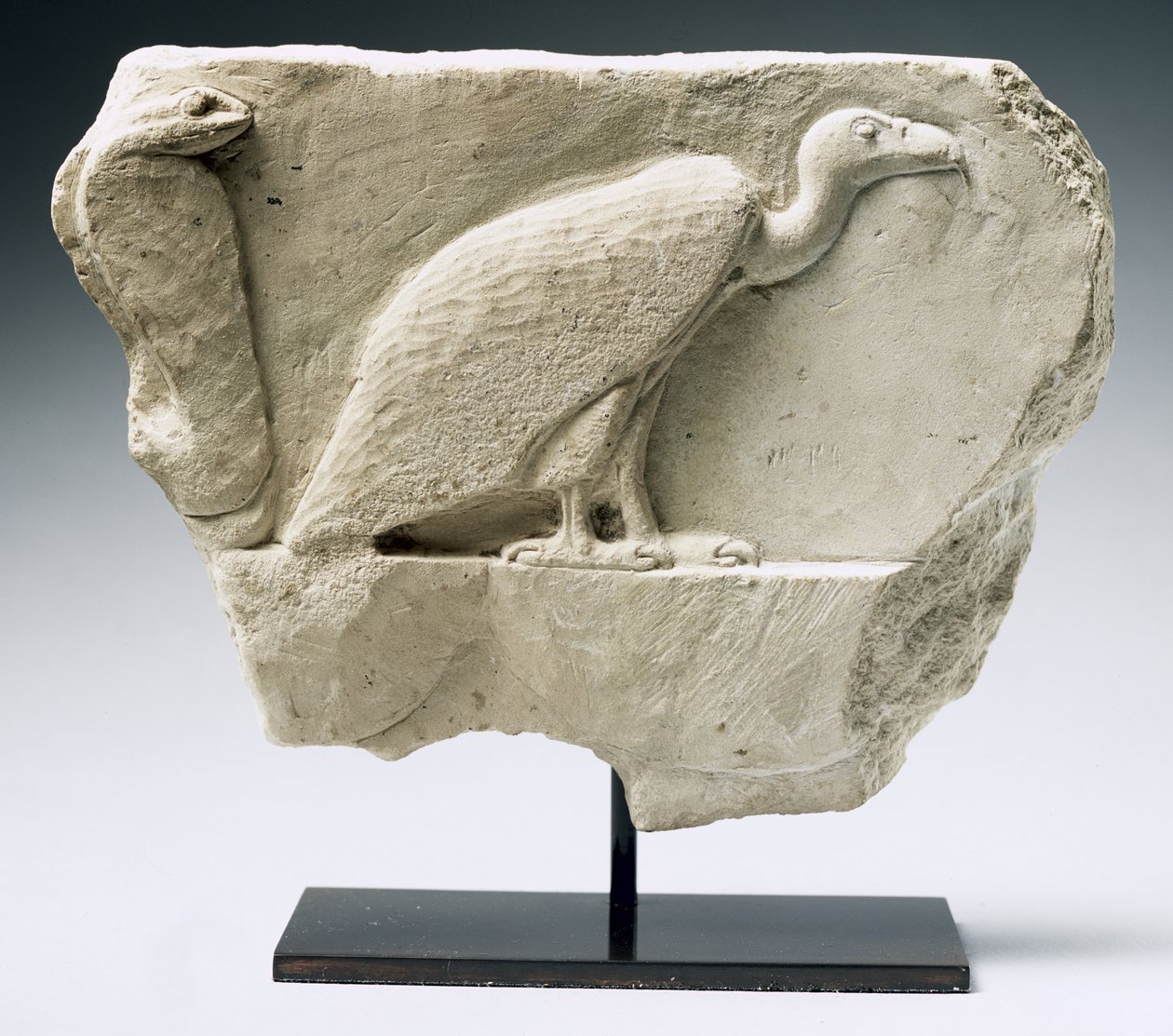 Reliëf met een gier en cobra (kalksteen) door Egyptian Ptolemaic Period
