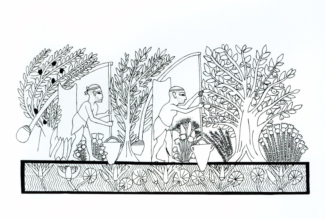 Een oude Egyptische tuin door Egyptian School