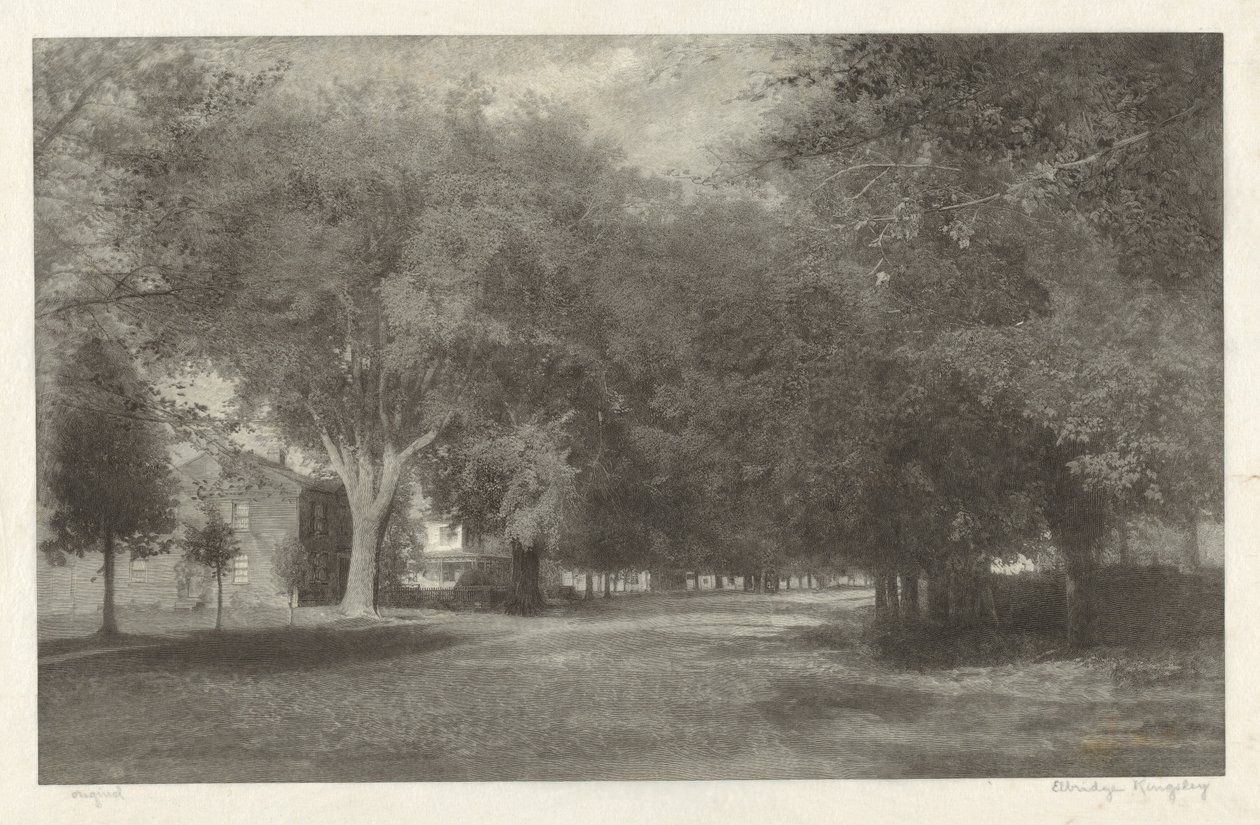 New England Elms door Elbridge Kingsley