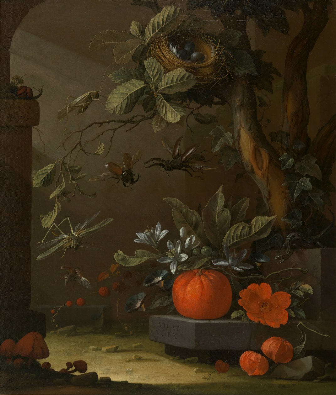 Vivat Rex door Elias van den Broeck