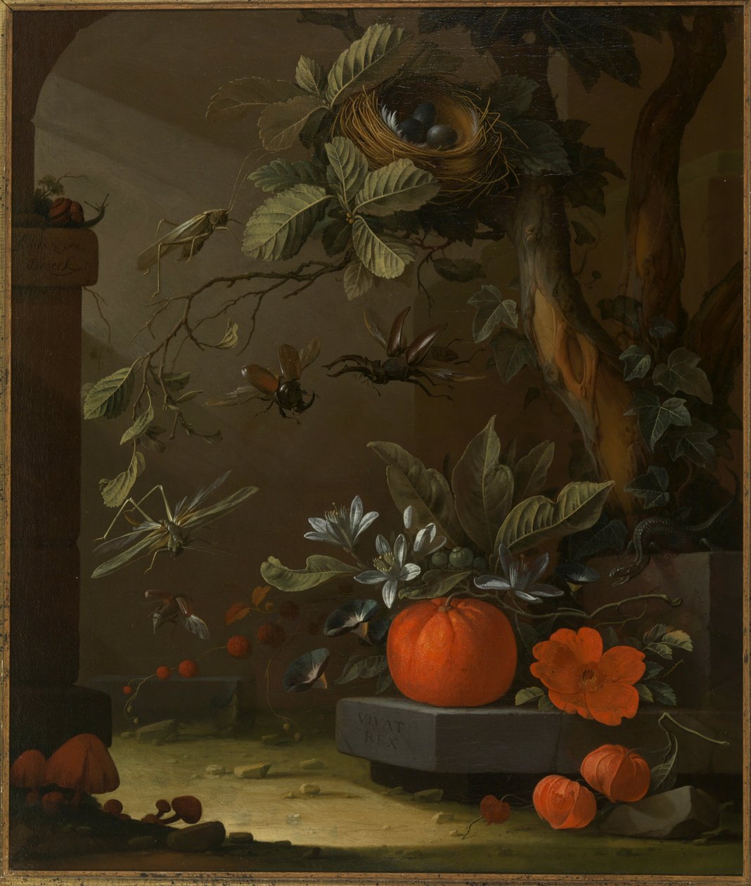 Vivat Rex door Elias van den Broeck