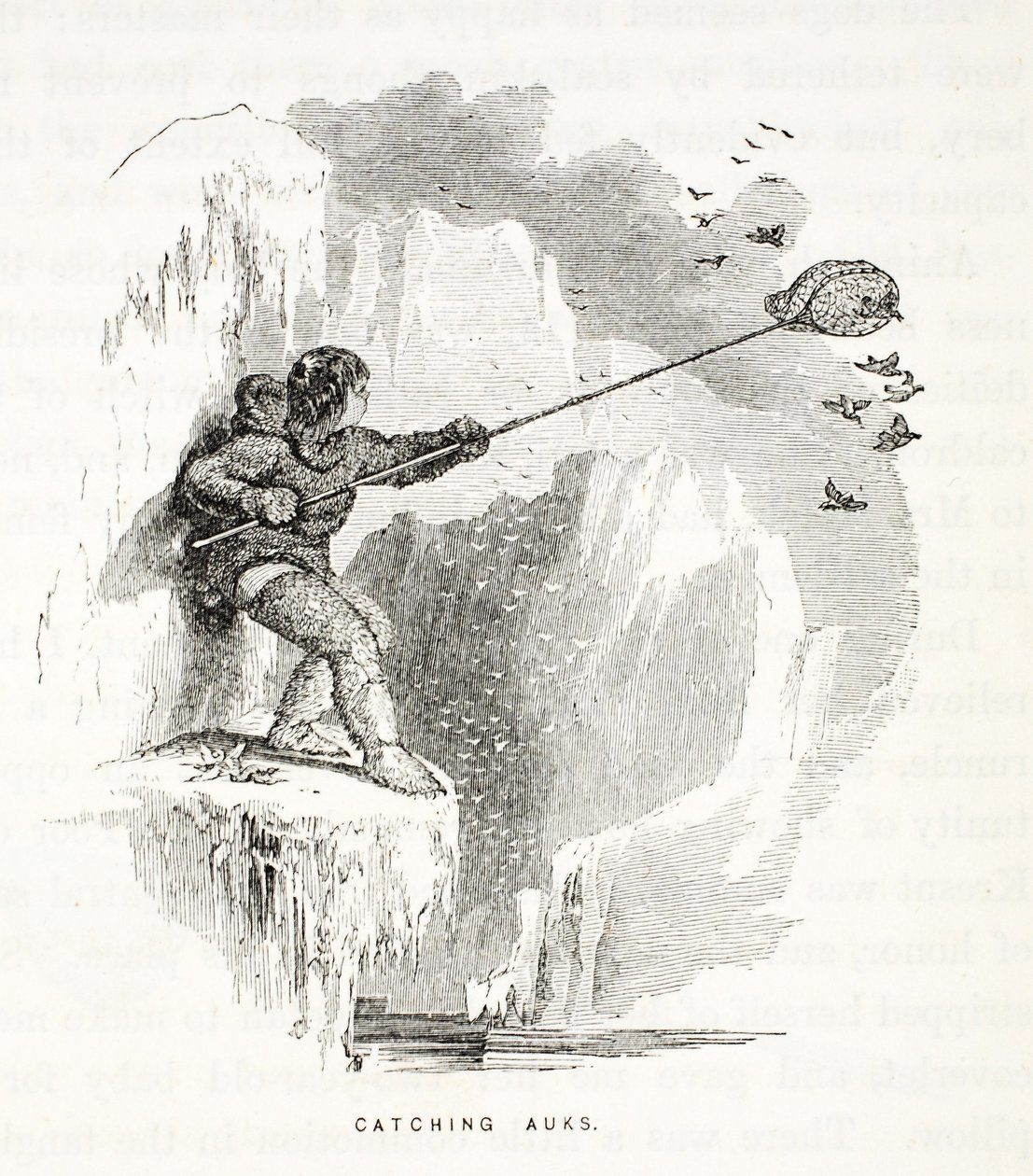 Vangen van alken, illustratie uit, De tweede Grinnell-expeditie op zoek naar Sir John Franklin door Elisha Kane