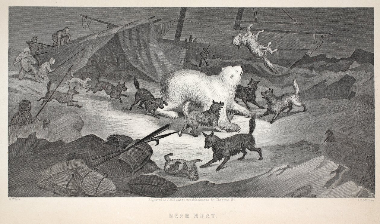 Berenjacht, illustratie uit 