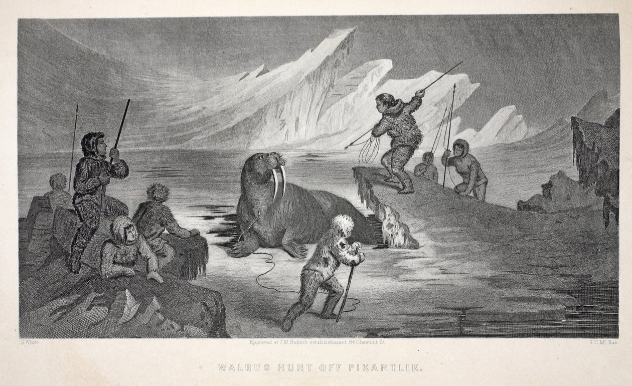 Walrusjacht bij Pikantlik, illustratie uit 
