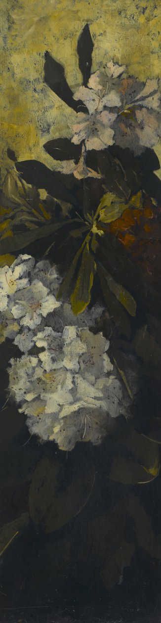 Rhododendrons door Elizabeth Boott Duveneck