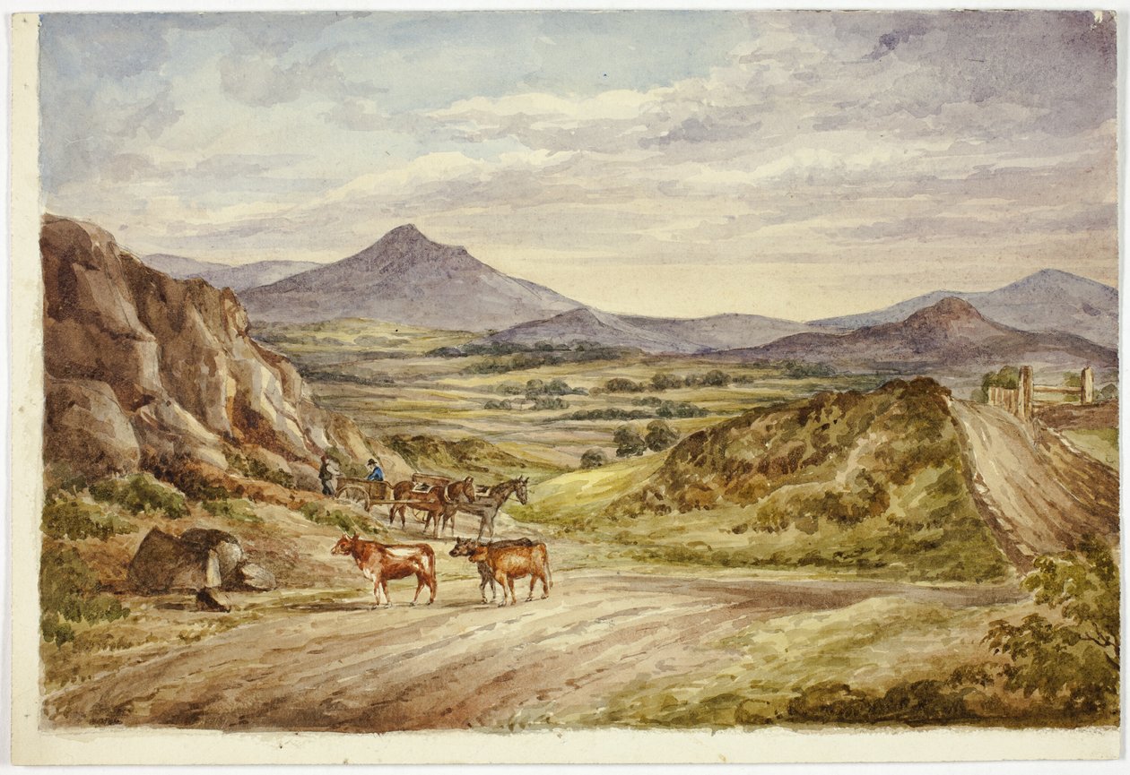 Wicklow Hills door Elizabeth Murray