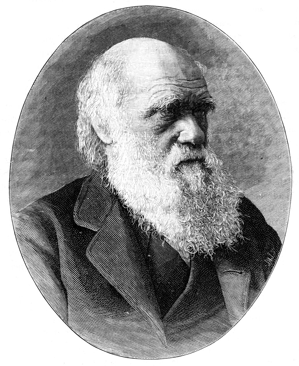Charles Darwin, 19e-eeuwse Engelse natuuronderzoeker, 1900 door Elliott and Fry