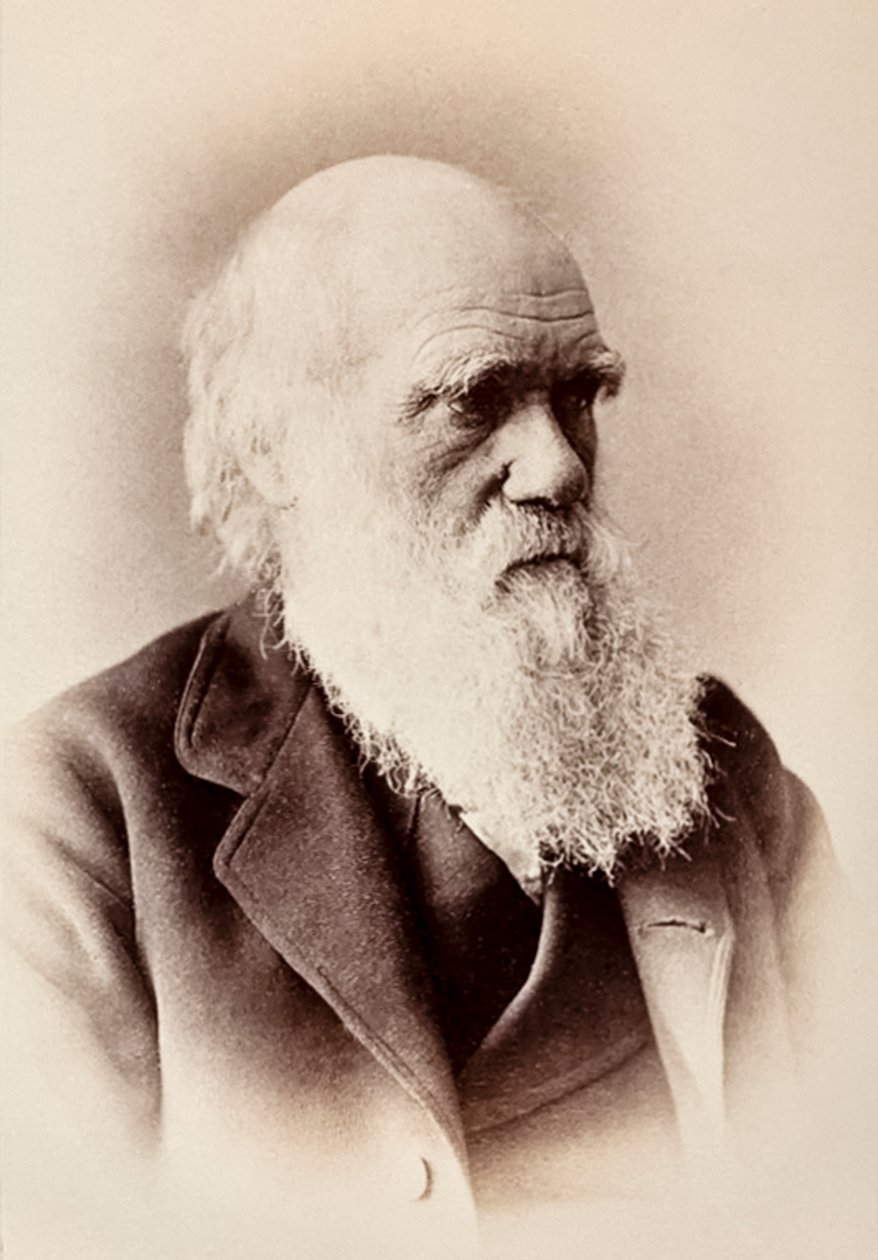 Charles Darwin: Engelse natuuronderzoeker door Elliott und Fry Studio