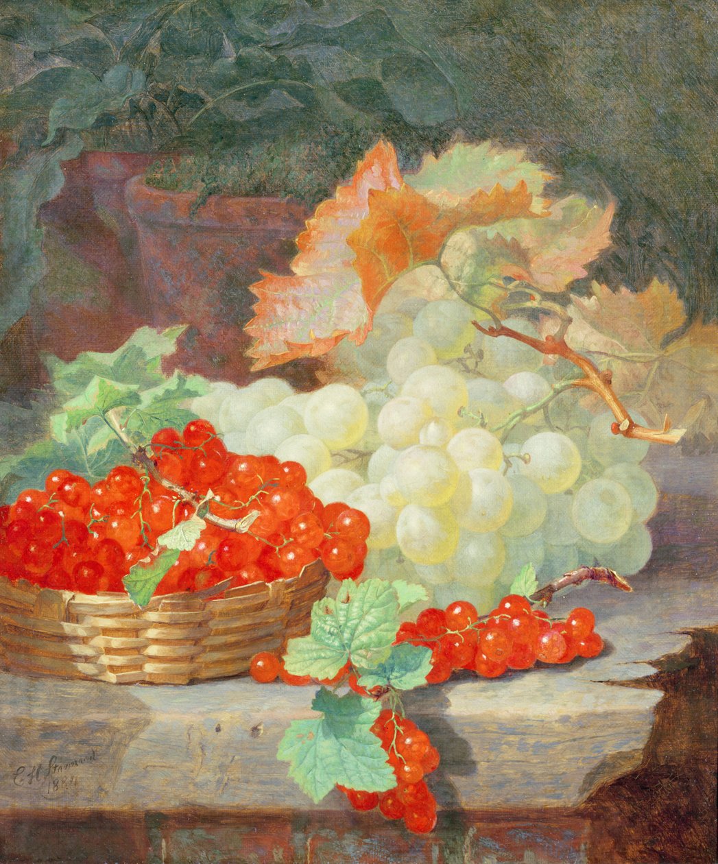 Rode bessen en druiven, 1864 door Eloise Harriet Stannard