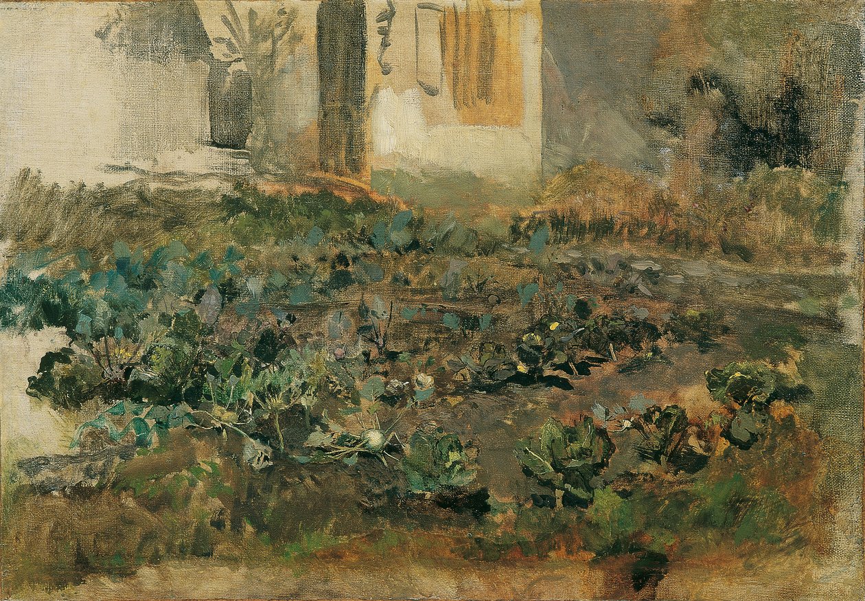 Koolraapveld door Emil Jakob Schindler