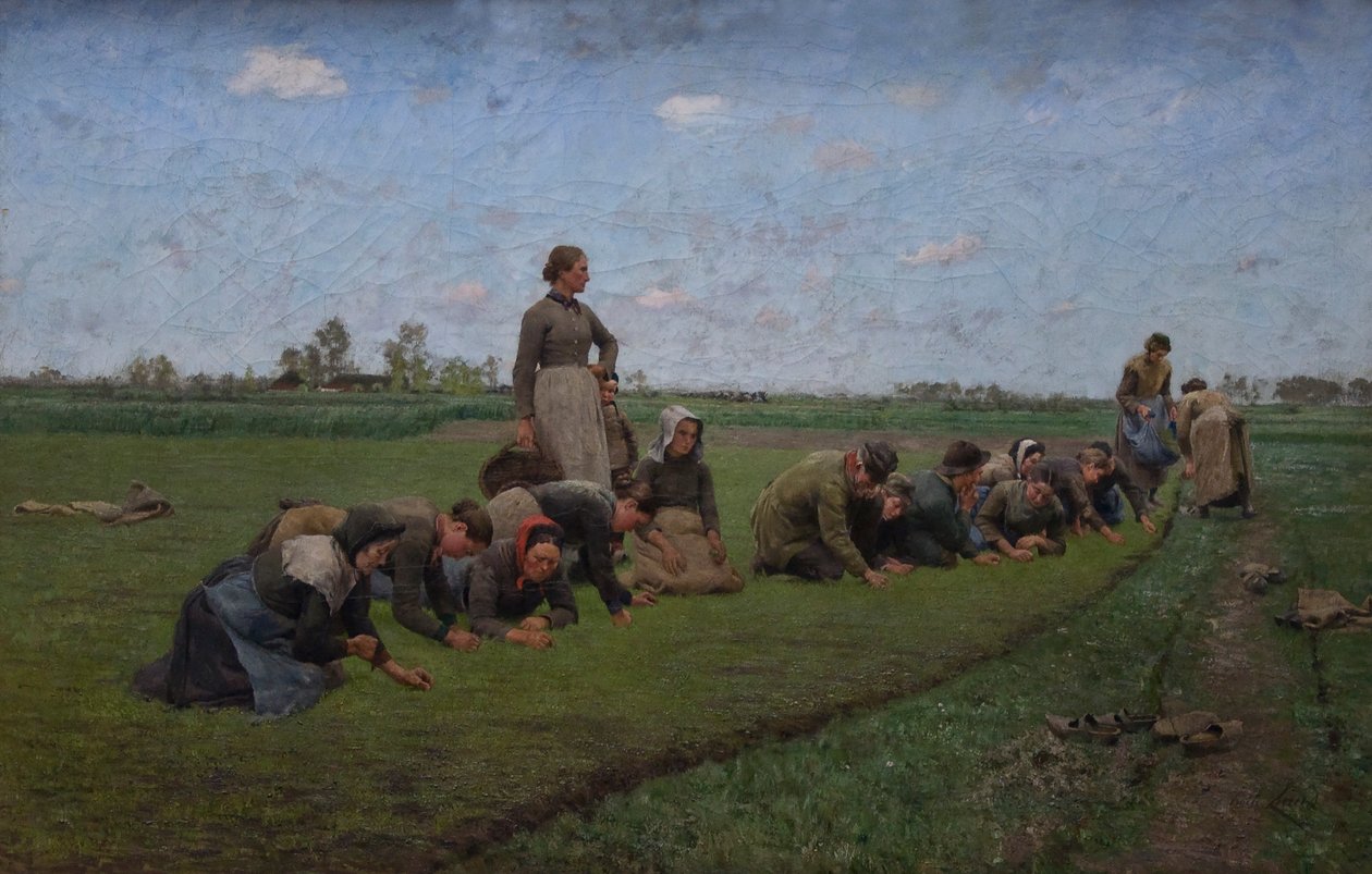 Vlaswieden in Vlaanderen door Emile Claus