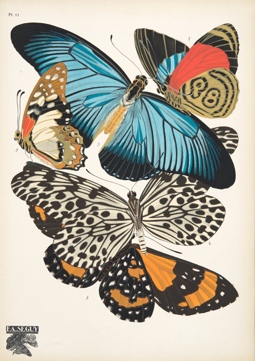Plaat 11, uit Papillons, pub. 1925 door Émile Allain Séguy