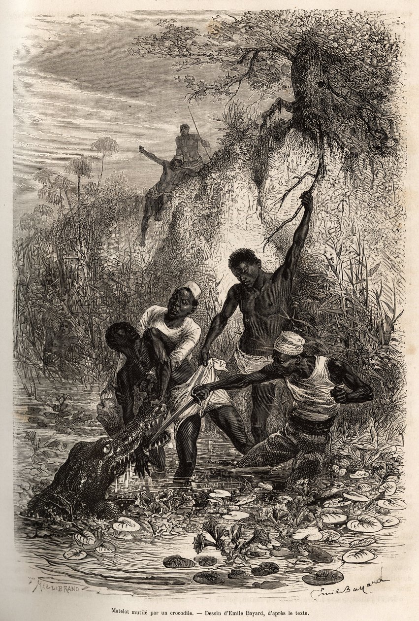 Een matroos van de expeditie, die convolvus (eetbare waterplant die zich over het wateroppervlak verspreidt) heeft teruggevonden, wordt bij de elleboog gegrepen door een krokodil; hij dankt zijn overleving alleen aan de tussenkomst van zijn kameraden, ets  door Emile Antoine Bayard