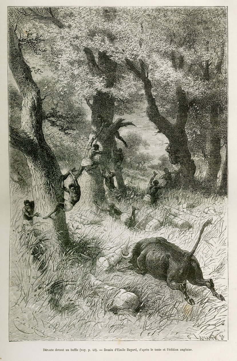 Ontsnapping van de expeditie voor de aanval van een buffel, tekening door Emile Bayard, ter illustratie van het verhaal: Dwars door Afrika, van Zanzibar (Tanzania) naar Benguela (Angola), van 1872 tot 1876, door luitenant V.H. Cameron. Gravure in Le tour d door Emile Antoine Bayard