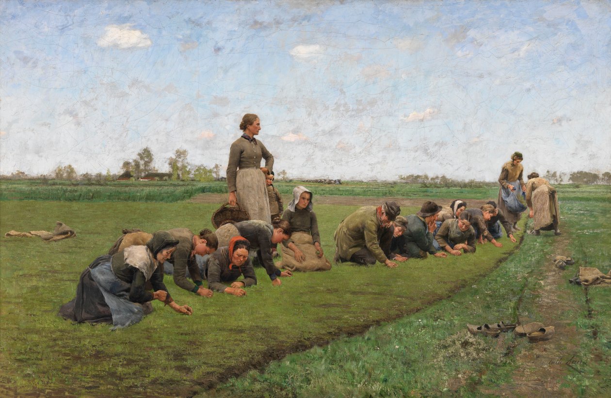Onkruid wieden in vlas in Vlaanderen door Emile Claus