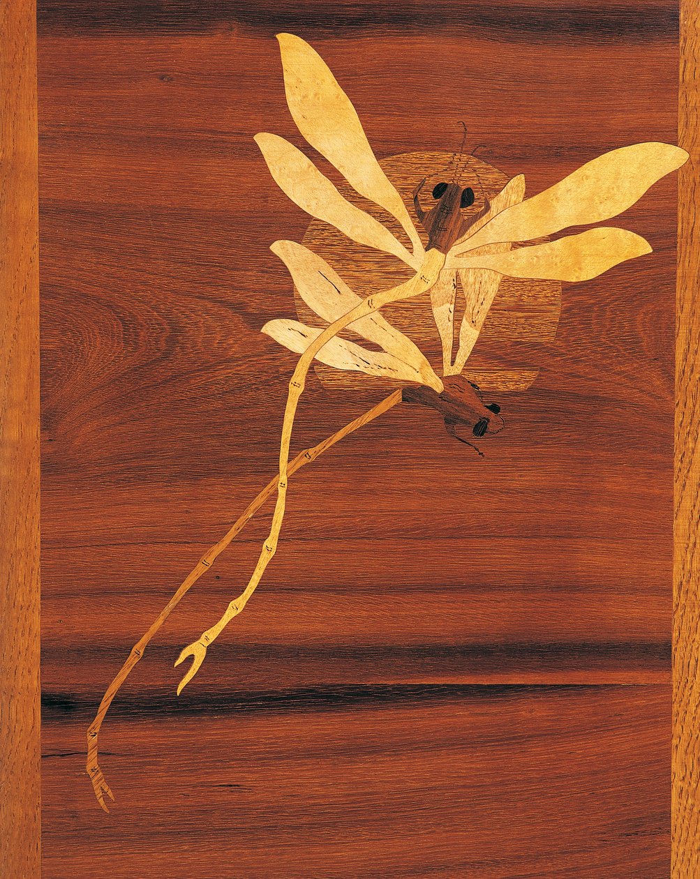 Libellen, detail van Art Nouveau stijl kast, ca. 1900, Frankrijk, 20e eeuw door Emile Galle