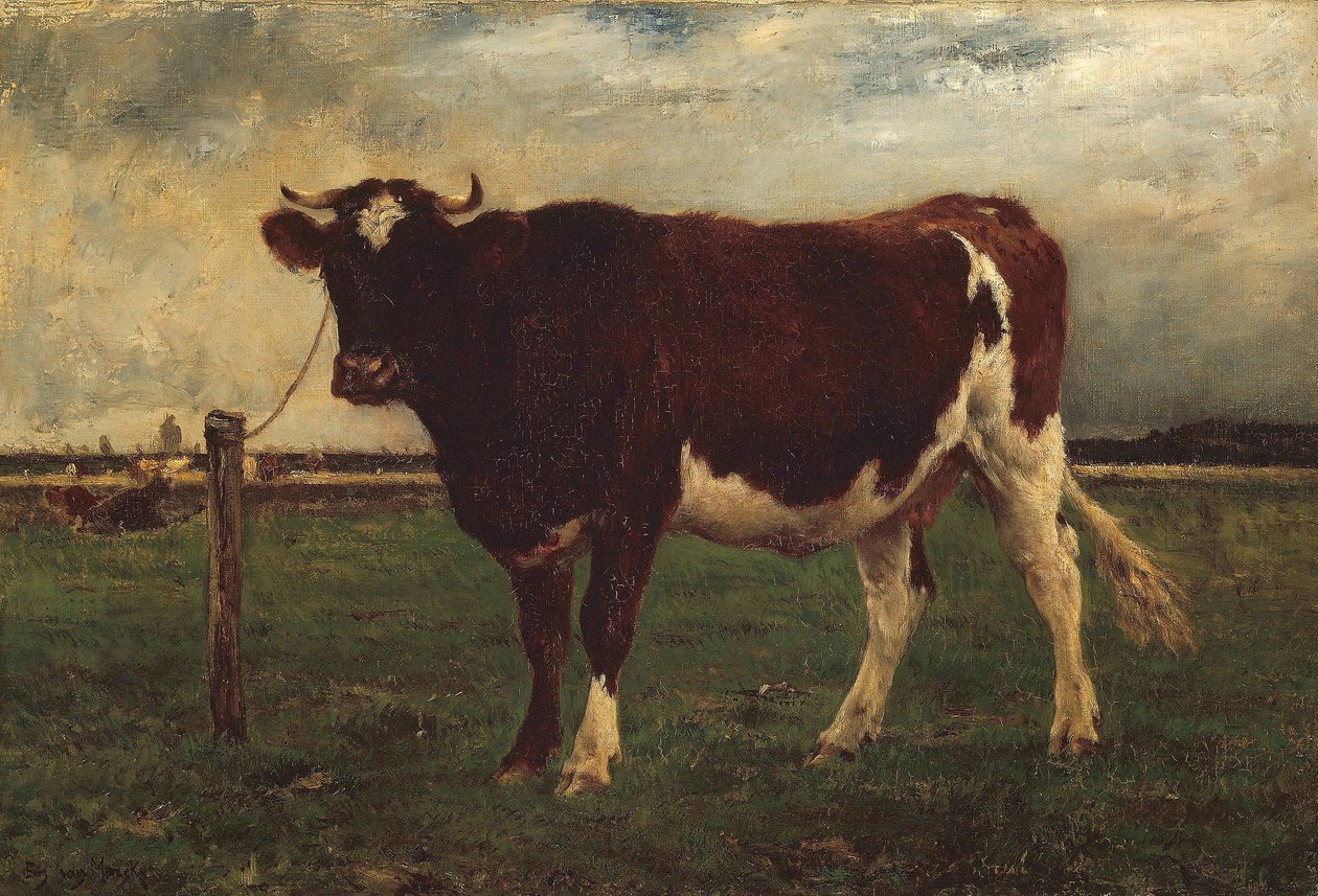 Studie van een Koe, 1870-90 door Emile van Marcke de Lummen