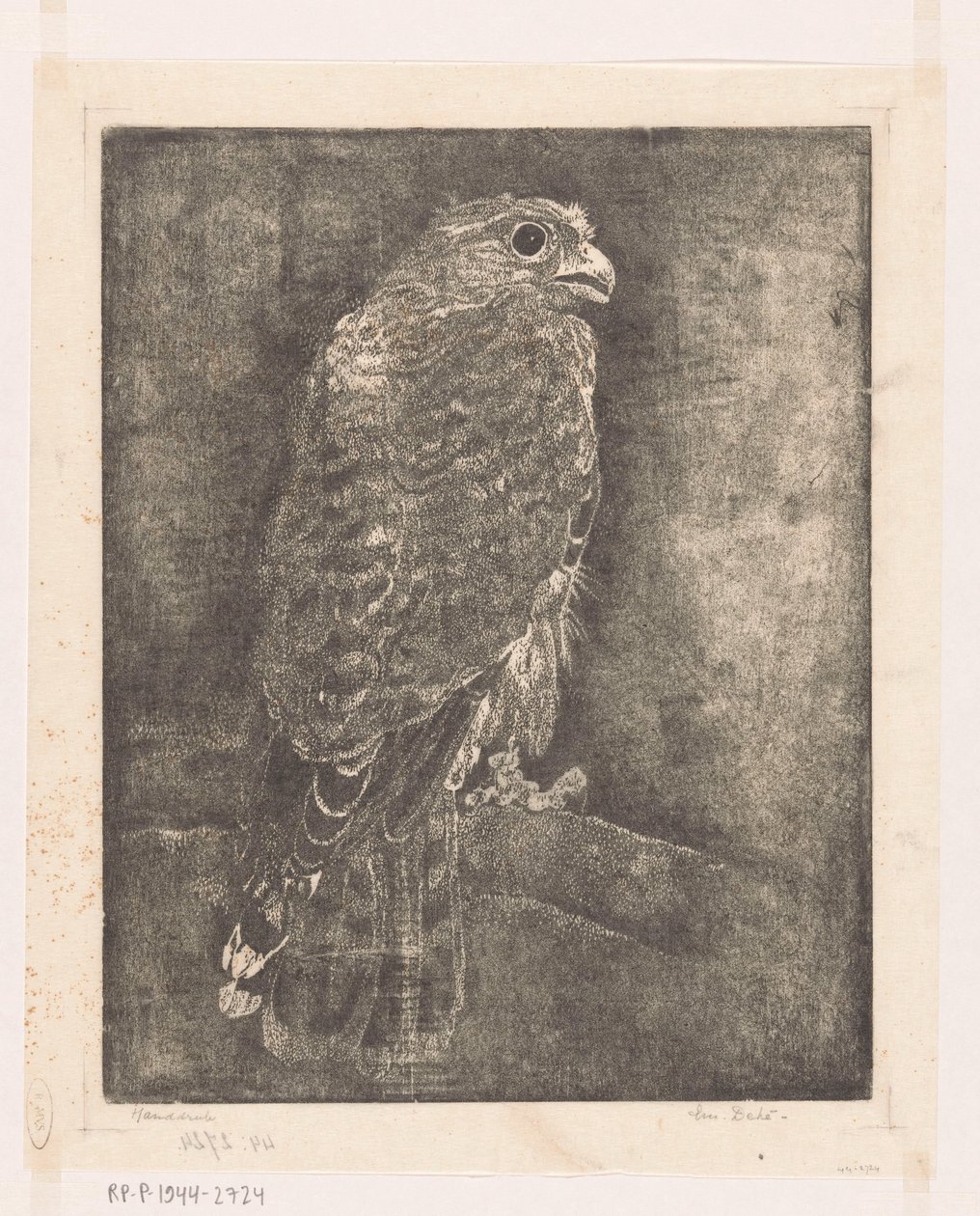 Valk op een tak door Emilius Wilhelmus Dehé (signed by artist)