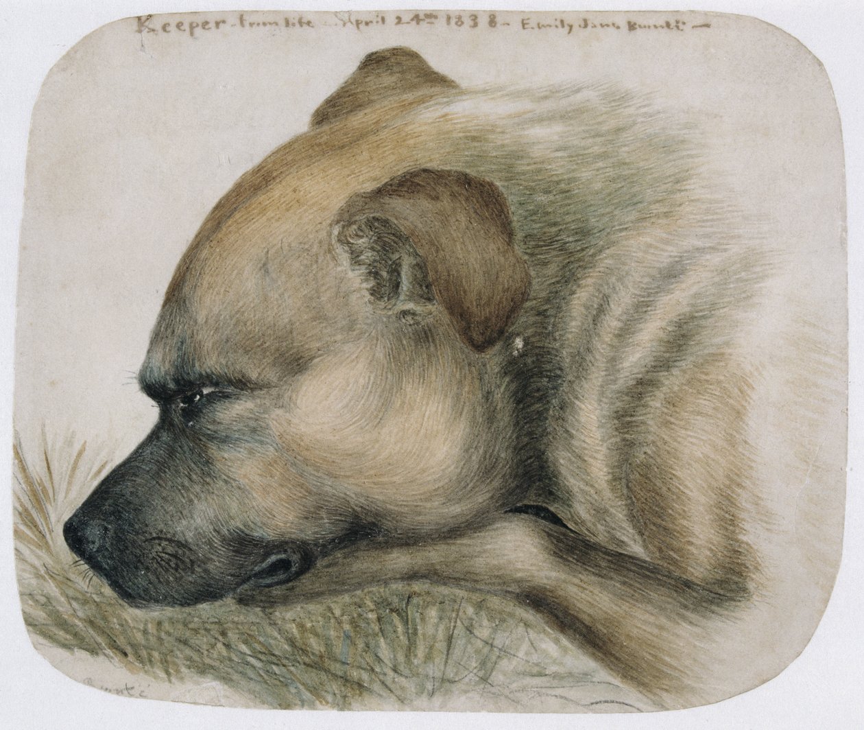Keeper - uit het leven, 1838 door Emily Bronte