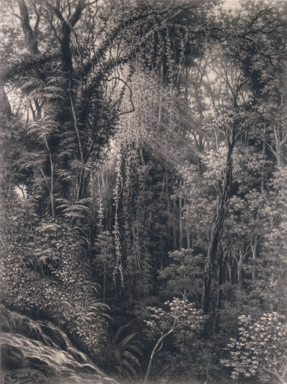 Uitzicht op de Kloof boven Apia, Upolu, West-Samoa, 1877 door Emma Sandys