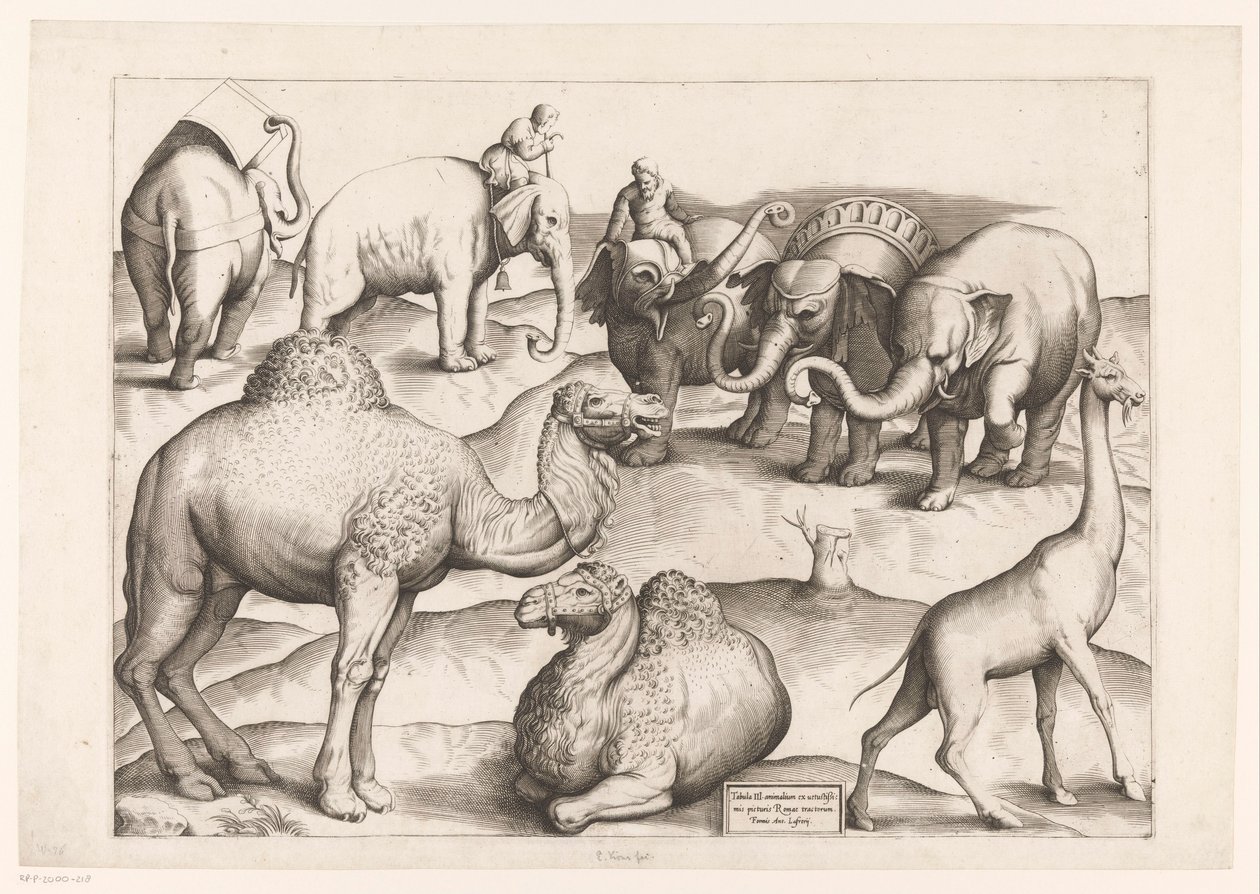 Acht dieren door Enea Vico (attributed to)