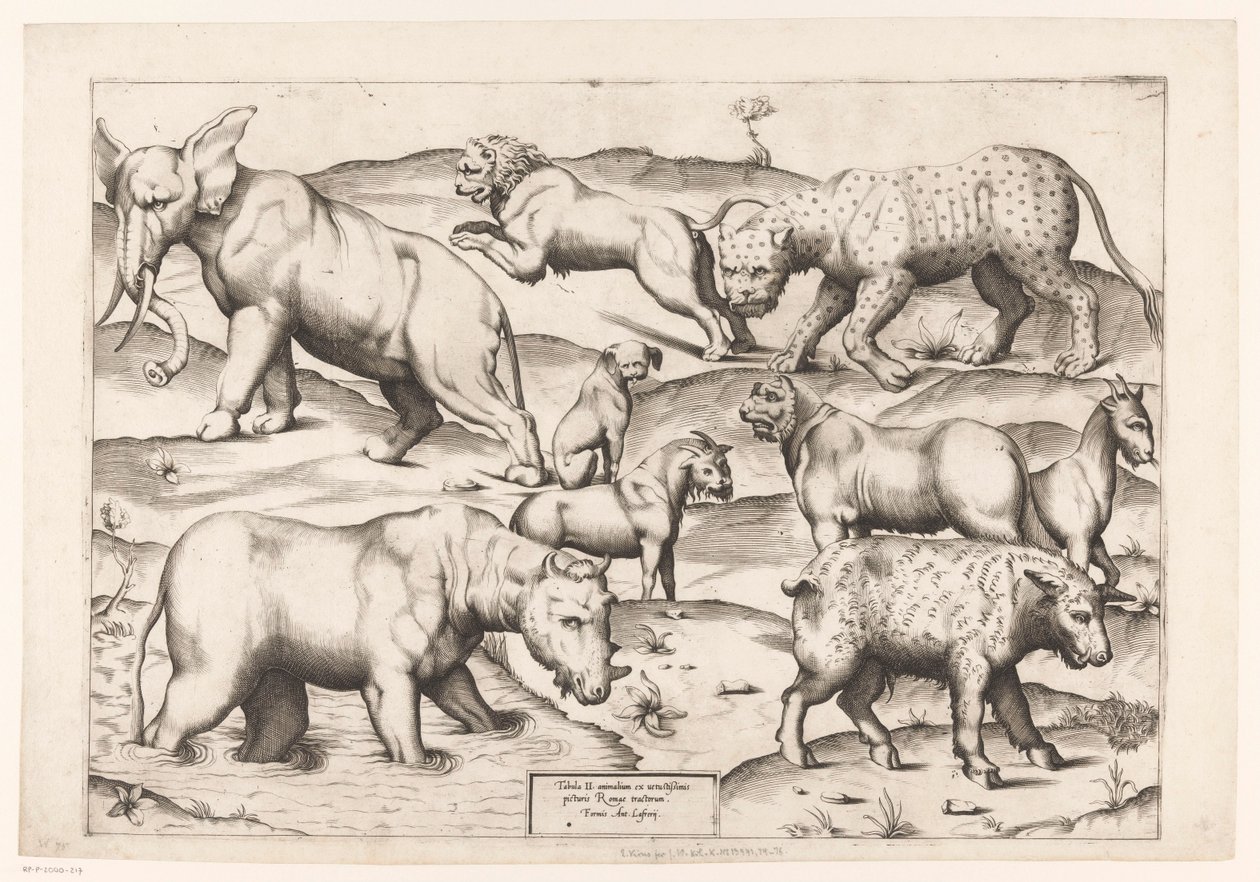 Negen dieren door Enea Vico (attributed to)