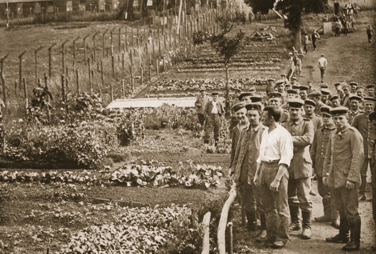De moestuin, Eastcote, illustratie uit Duitse gevangenen in Groot-Brittannië door English Photographer