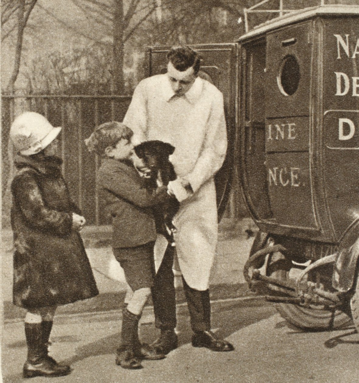 De dierenarts van de Fulham-tak van The Peoples Dispensary for Sick Animals, uit Wonderful London, gepubliceerd 1926-27 door English Photographer