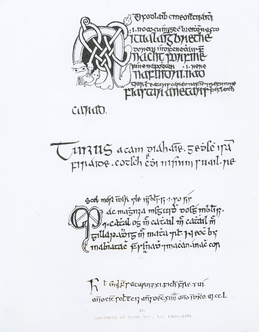 Voorbeelden van Ierse manuscripten, c.1300-1588 door English School