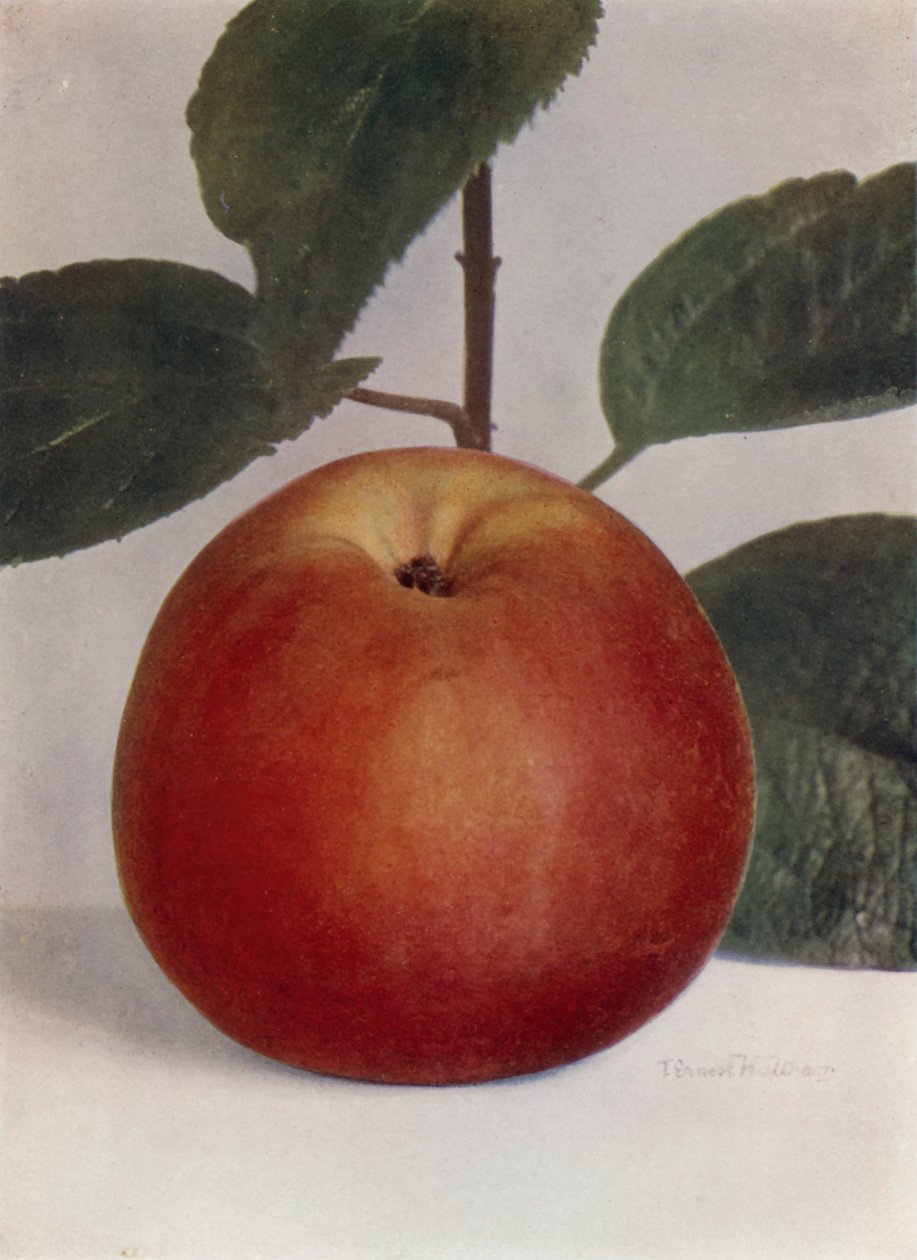 Appel, Baumann