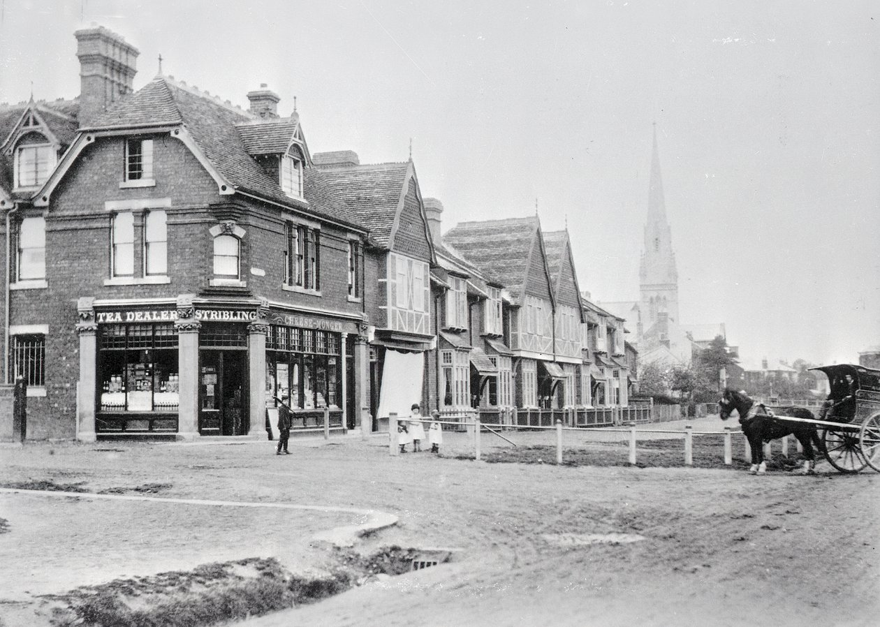 Hoek van Chase Side en Chase Green Avenue, c.1890 (zwart-wit foto) door English Photographer