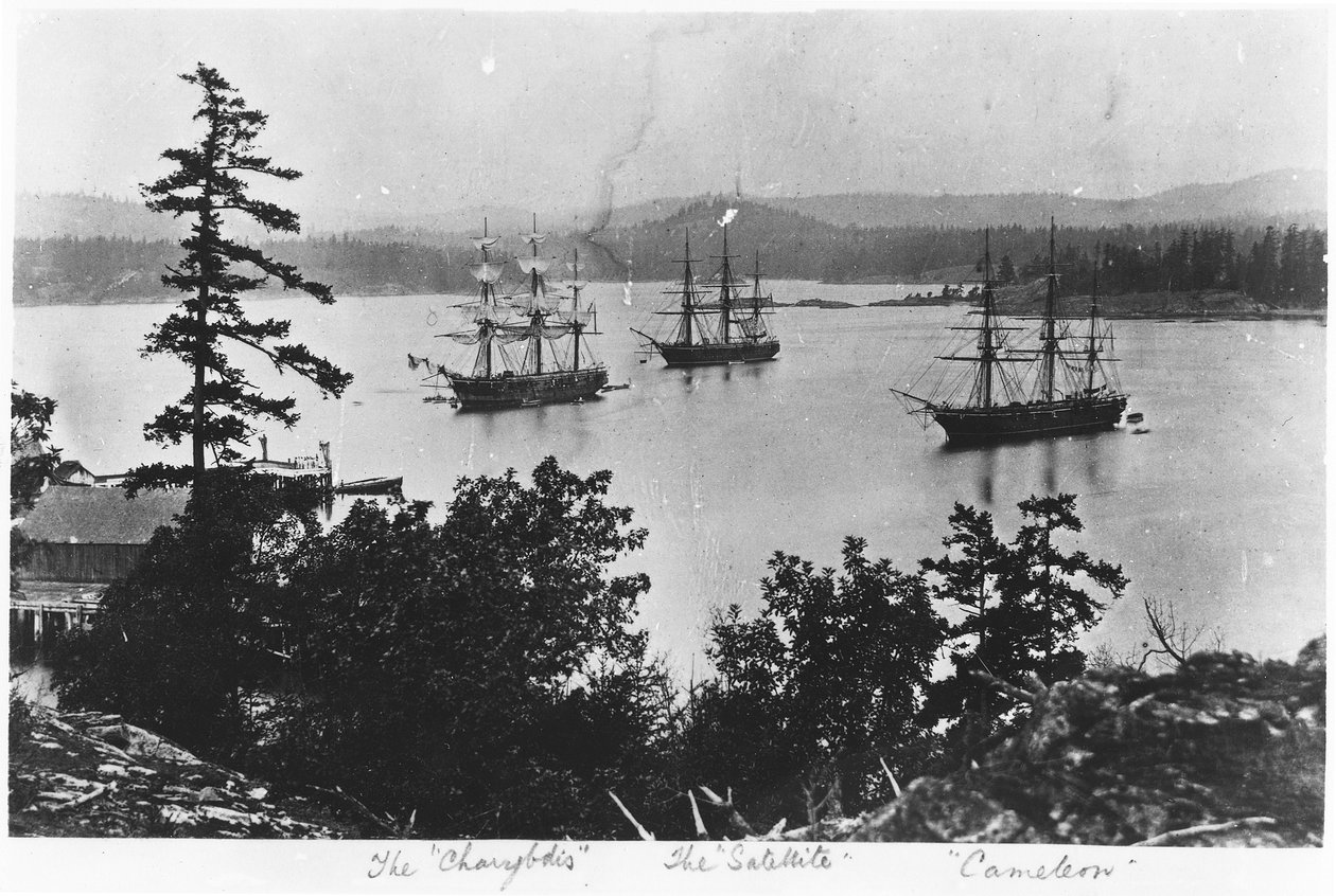 HMS Charybdis, HMS Satellite en HMS Cameleon bij Esquimalt Royal Navy Dockyard, British Columbia, c.1880s door English Photographer
