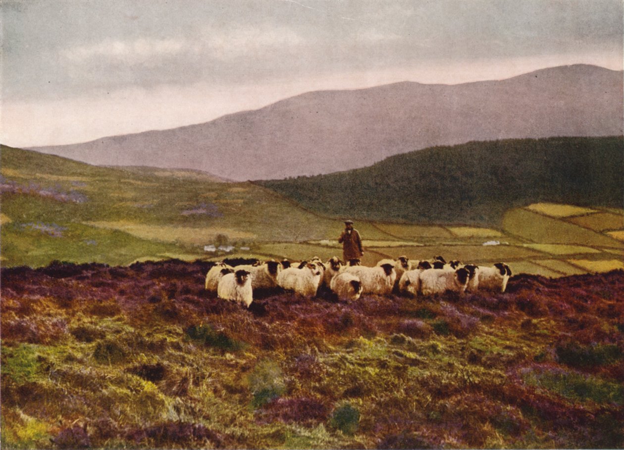 Op de Mountains of Mourne, County Down (kleurenfoto) door English Photographer