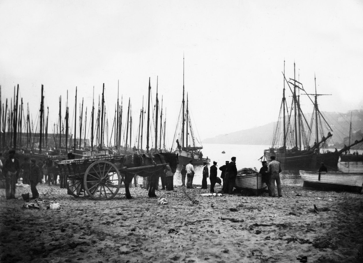 Haven van St Ives met Uitzicht op Carbis Bay, c.1880-99 door English Photographer