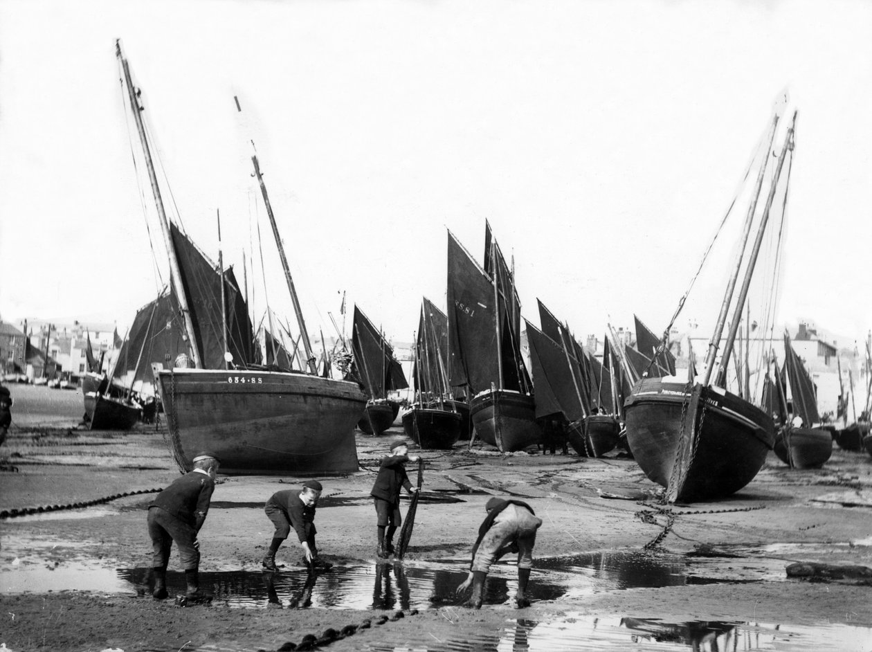 De Vissersvloot in de Haven van St Ives, c.1880-99 door English Photographer