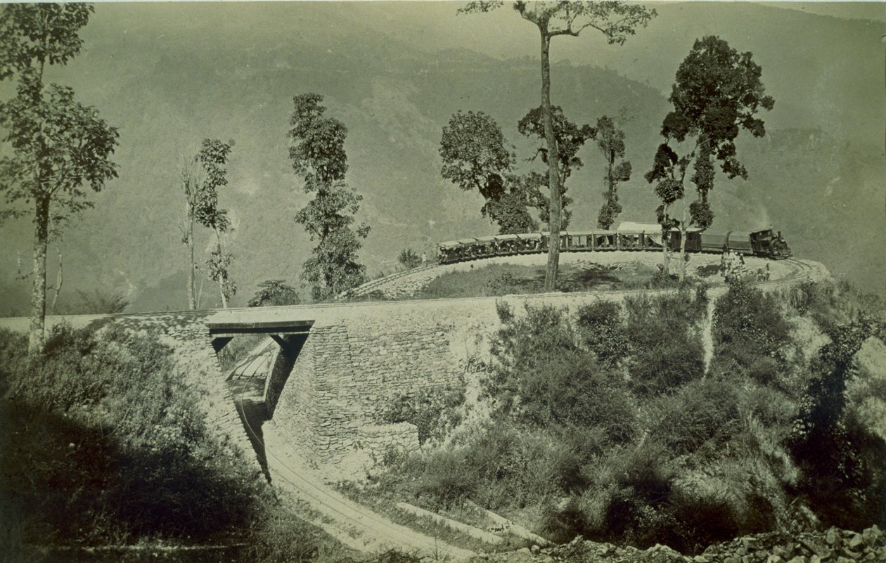 De lus bij Agony Point in Tindharia op de Darjeeling Himalayan Railway, 1880s door English Photographer
