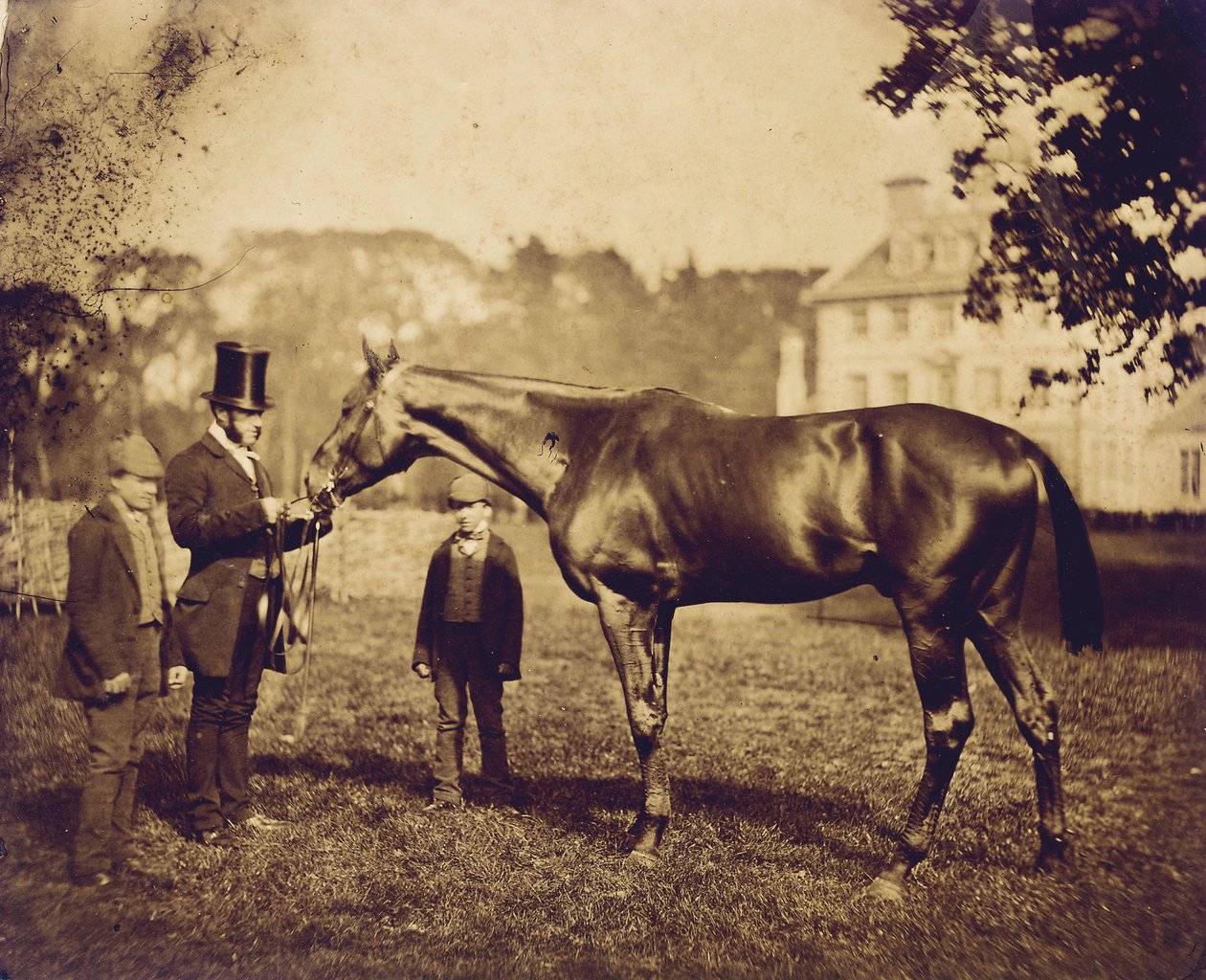 Wild Dayrell, winnaar van de Derby in 1856 door English Photographer