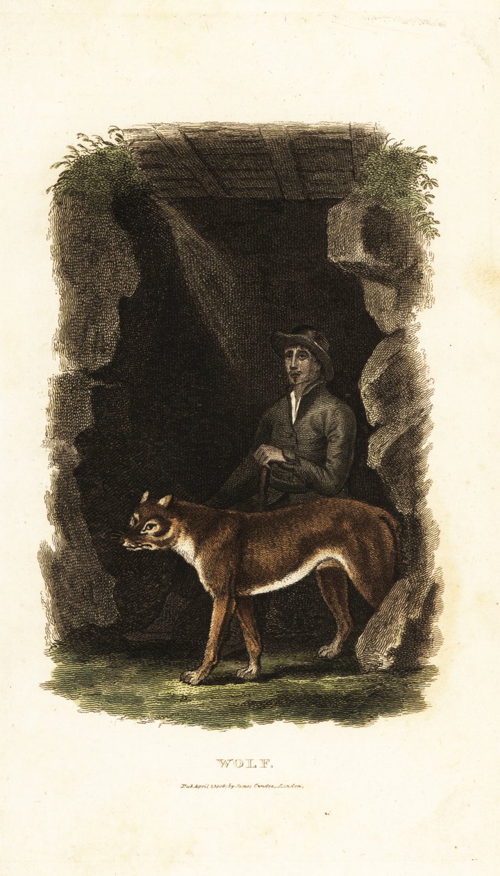 18e-eeuwse Engelse heer en zijn tamme wolf, Canis lupus, bij de ingang van een grot door English School