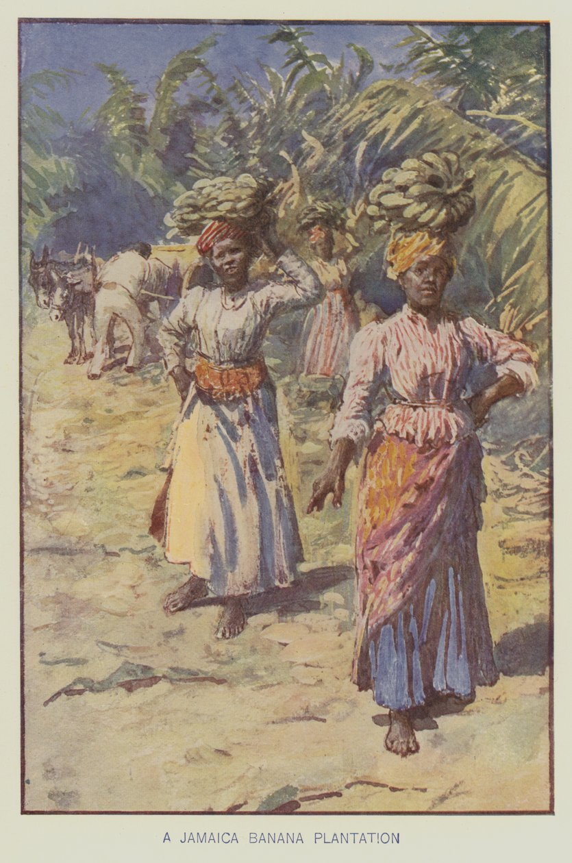Een bananenplantage in Jamaica (kleurenlitho) door English School
