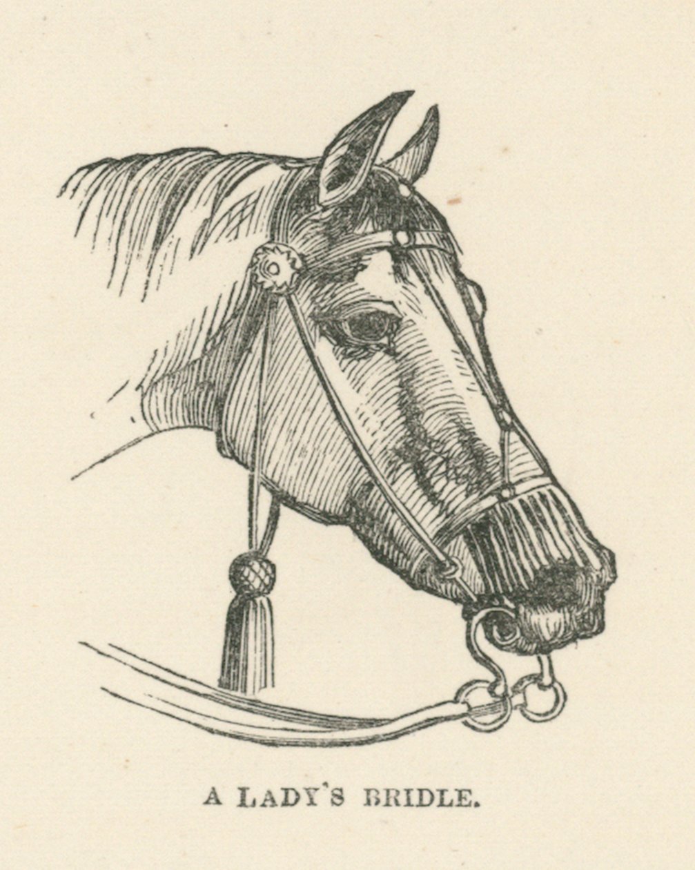 Een dameshoofdstel (gravure) door English School