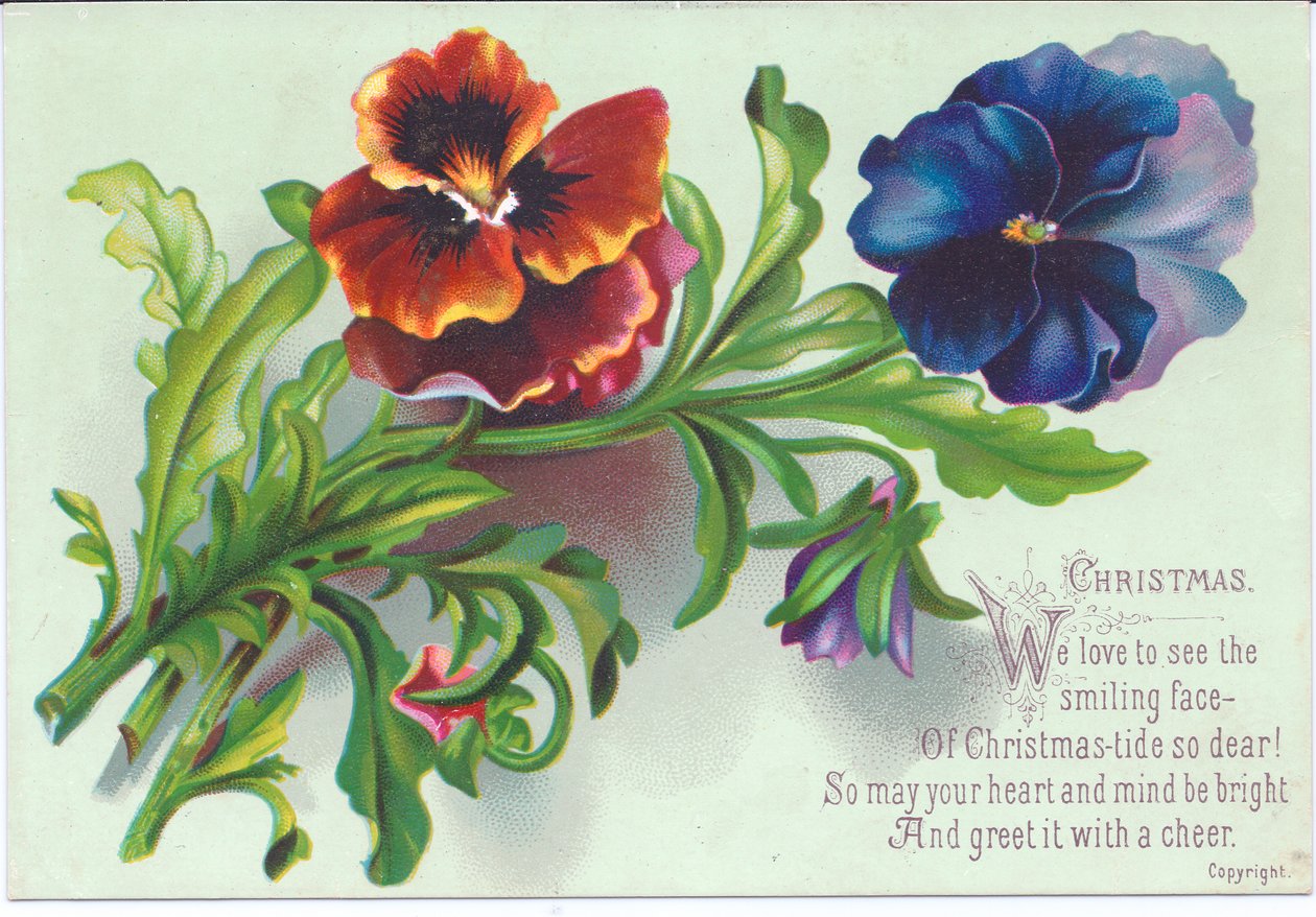 Victoriaanse kerstkaart van een boeket viooltjes, ca. 1880 door English School