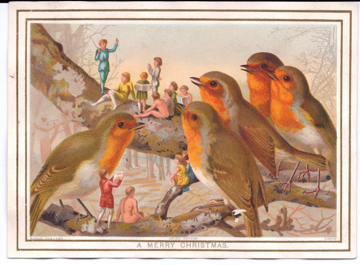 Een Victoriaanse kerstkaart van vijf roodborstjes die op een tak zitten en luisteren naar een feeënband, ca. 1880 door English School