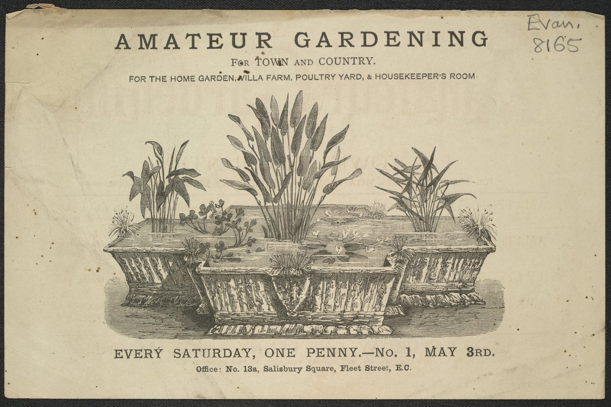 Advertentie voor het tijdschrift Amateur Gardening door English School
