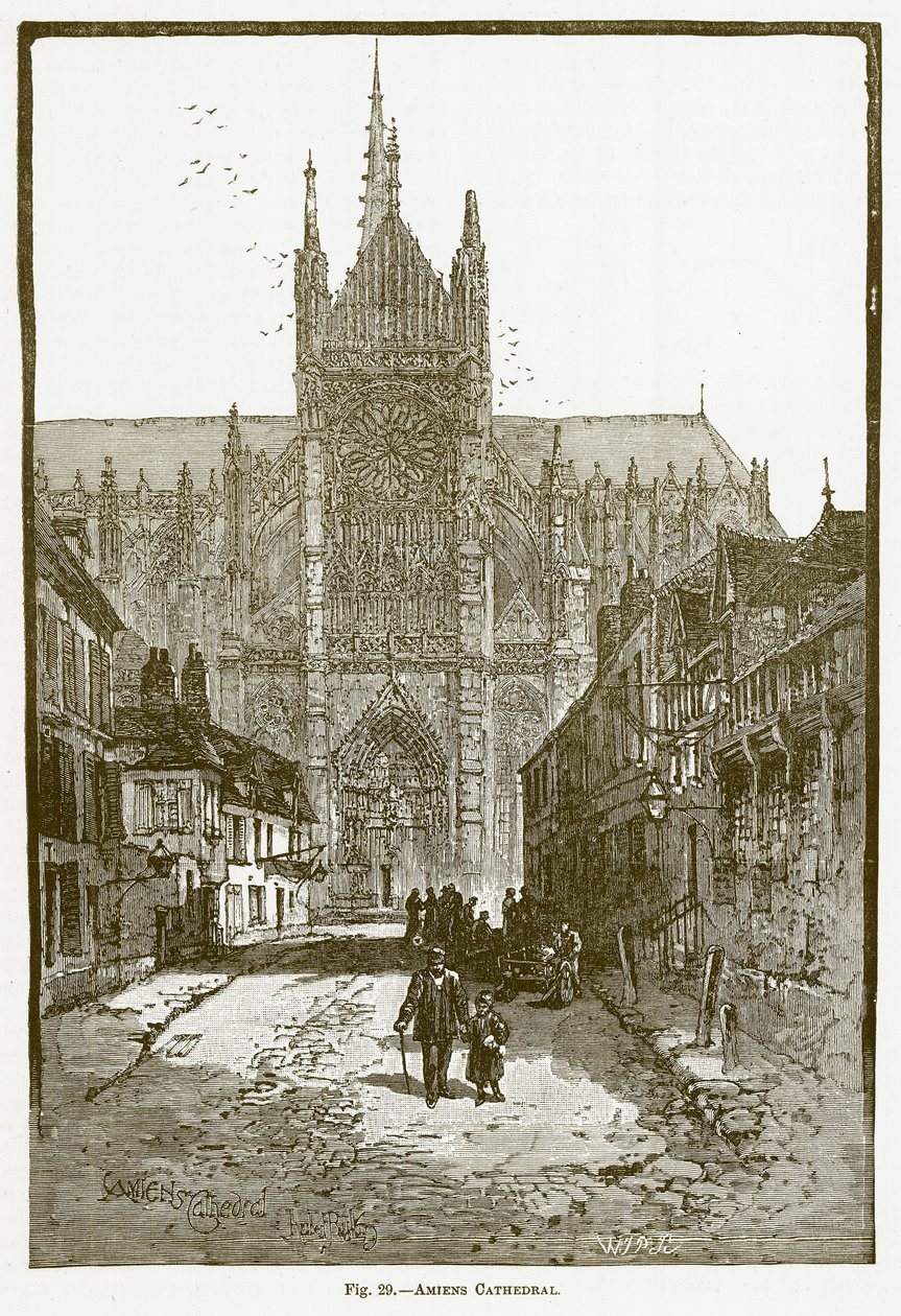 Amiens Cathedral (engraving) door English School