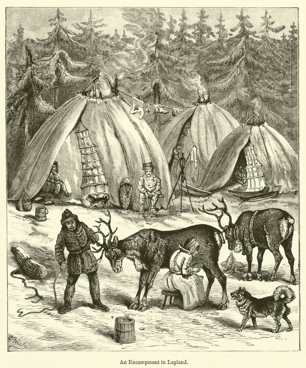 Een kampement in Lapland (gravure) door English School