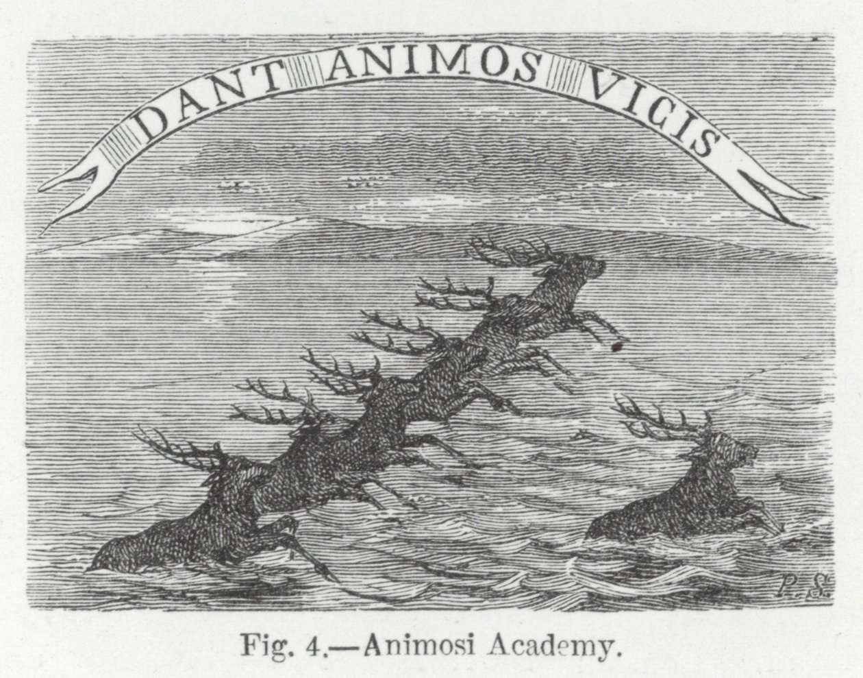 Academie Animosi (gravure) door English School