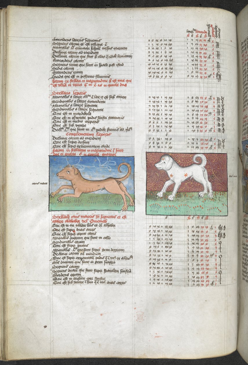 Canis maior en Canis minor afgebeeld als honden 
