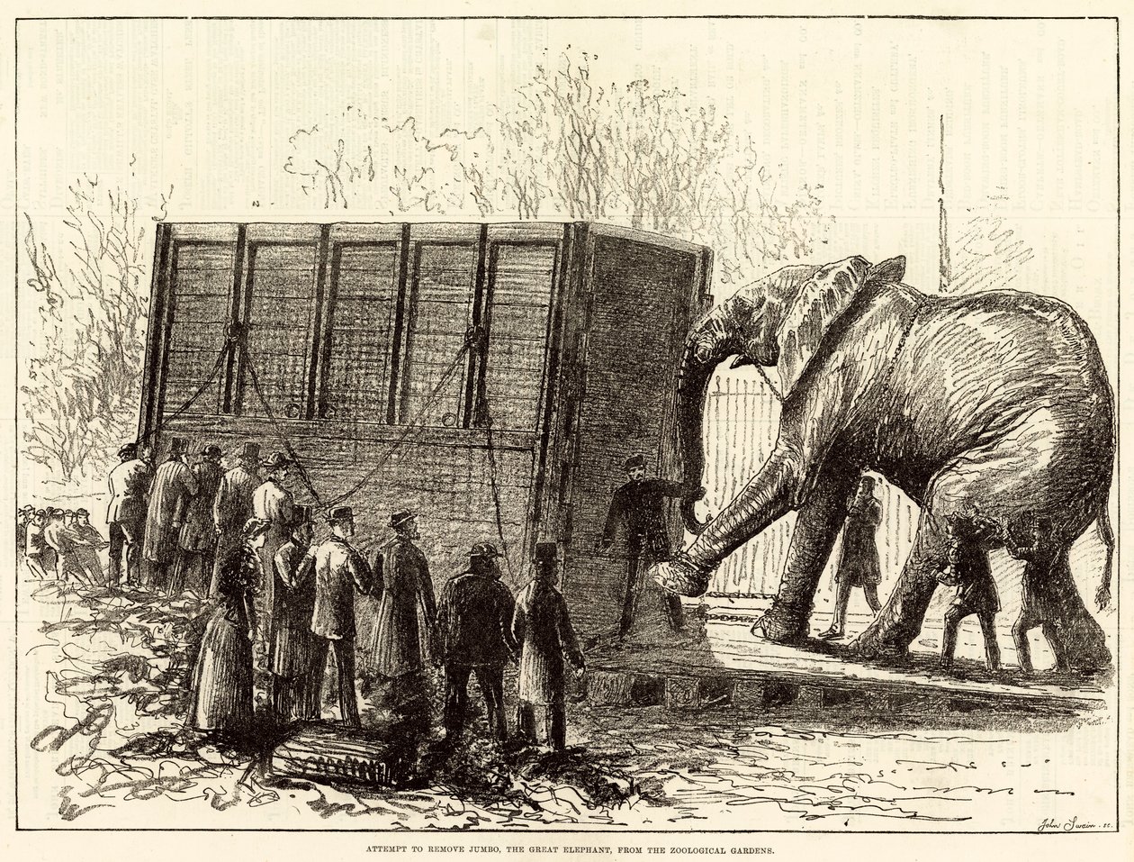 Poging om Jumbo, de grote olifant, uit de Zoological Gardens te verwijderen (gravure) door English School