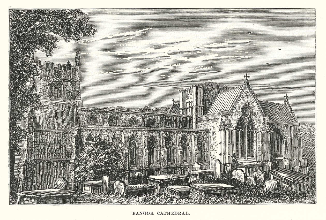 Kathedraal van Bangor (gravure) door English School