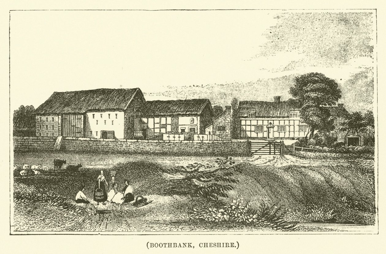Boothbank, Cheshire (gravure) door English School